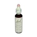 Bach 233627 Bach Flower Remedies Essence Holly - 0.7 fl oz Bach 233627 Bach Flower Remedies Essence Holly - 0.7 fl oz