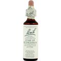 Bach 233957 Bach Flower Remedies Essence Star of Bethlehem - 0.7 fl oz Bach 233957 Bach Flower Remedies Essence Star of Bethlehem - 0.7 fl oz