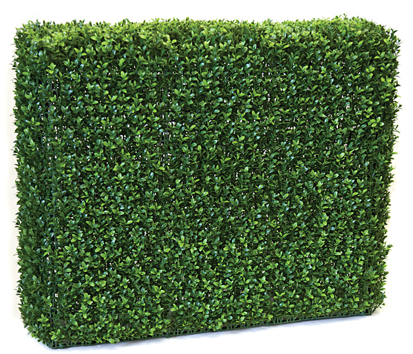 Picture of Autograph Foliages AUV-133005 36 in. x 12 in. x 30 in. BOXWOOD HEDGE - TT GREEN