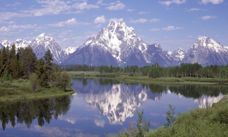 Biggies- Inc. Window Well Scenes - Mountain Two-120