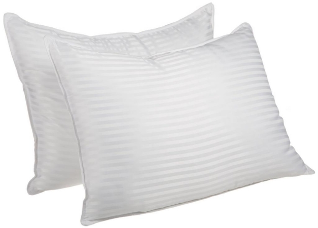 Picture for category Pillows & Pillow Forms