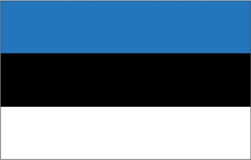 3 ft. x 5 ft. Nyl-Glo Estonia Flag