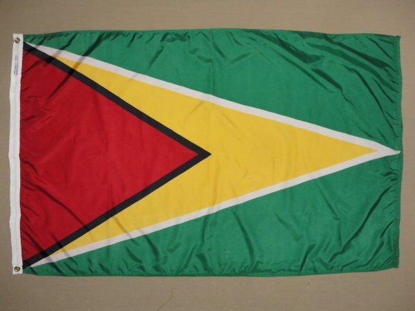Picture of Annin Flagmakers 193302 2 ft. X 3 ft. Nyl-Glo Guyana Flag