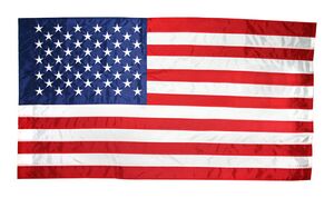 378845 Nyl-Glo U.S. Flag with Flagpole Sleeve and Tab- 3 ft. X 5 ft -  Annin Flagmakers