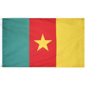 4 ft. X 6 ft. Nyl-Glo Cameroon Flag