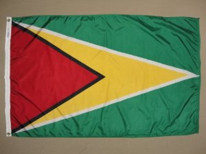 3 ft. x 5 ft. Nyl-Glo Guyana Flag