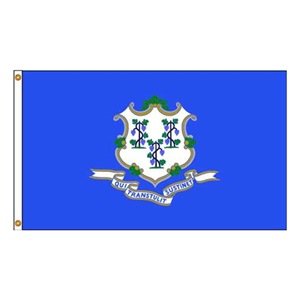Picture of Annin Flagmakers 140770 4 ft. X 6 ft. Nyl-Glo Connecticut Flag