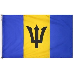 4 ft. X 6 ft. Nyl-Glo Barbados Flag