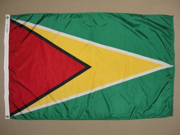 Picture of Annin Flagmakers 193308 4 ft. X 6 ft. Nyl-Glo Guyana Flag