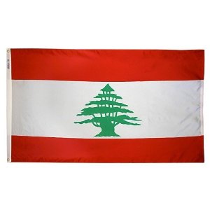 4 ft. X 6 ft. Nyl-Glo Lebanon Flag