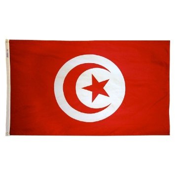 4 ft. X 6 ft. Nyl-Glo Tunisia Flag
