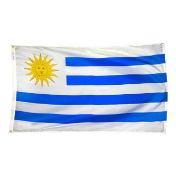 4 ft. X 6 ft. Nyl-Glo Uruguay Flag