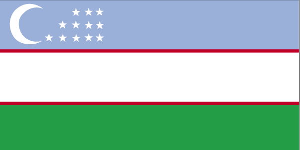 4 ft. X 6 ft. Nyl-Glo Uzbekistan Flag