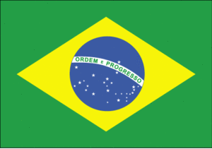 5 ft. X 8 ft. Nyl-Glo Brazil Flag