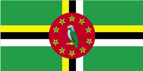 Picture of Annin Flagmakers 192239 5 ft. X 8 ft. Nyl-Glo Dominica Flag