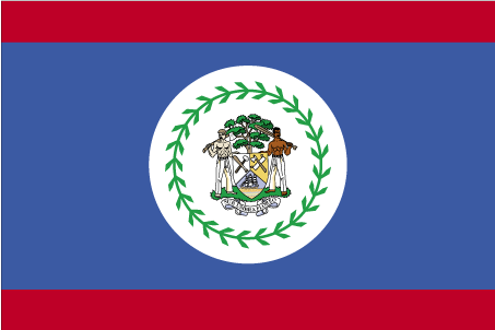 5 ft. X 8 ft. Nyl-Glo Belize Flag