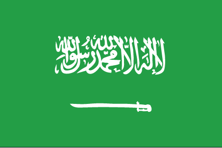 5 ft. X 8 ft. Nyl-Glo Saudi Arabia Flag
