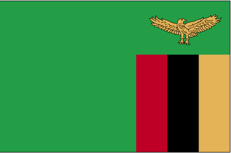 5 ft. X 8 ft. Nyl-Glo Zambia Flag