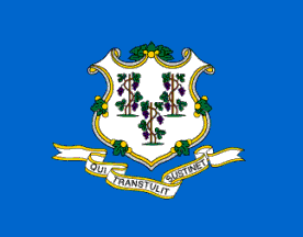 Picture of Annin Flagmakers 140780 5 ft. X 8 ft. Nyl-Glo Connecticut Flag