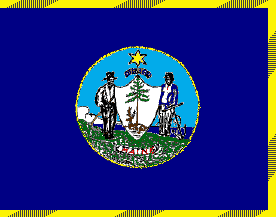5 ft. X 8 ft. Nyl-Glo Maine Flag