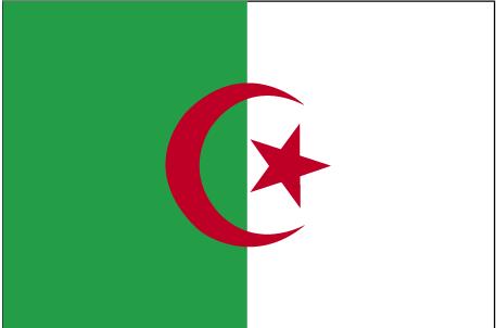 5 ft. X 8 ft. Nyl-Glo Algeria Flag
