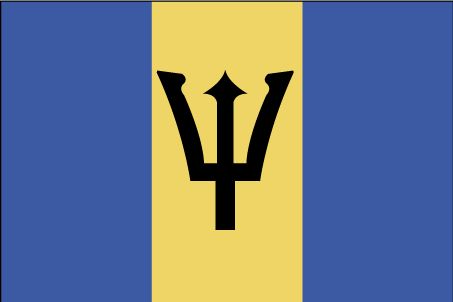 5 ft. X 8 ft. Nyl-Glo Barbados Flag