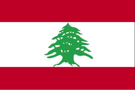 5 ft. X 8 ft. Nyl-Glo Lebanon Flag