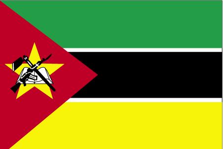 5 ft. X 8 ft. Nyl-Glo Mozambique