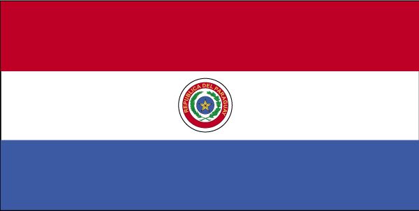 5 ft. X 8 ft. Nyl-Glo Paraguay Flag