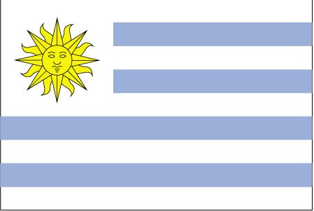 5 ft. X 8 ft. Nyl-Glo Uruguay Flag