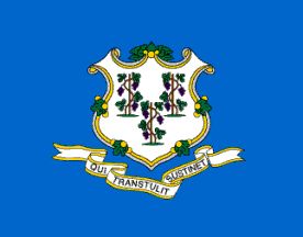Picture of Annin Flagmakers 140782 6 ft. X 10 ft. Nyl-Glo Connecticut Flag