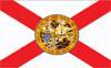Picture of Annin Flagmakers 140981 6 ft. X 10 ft. Nyl-Glo Florida Flag