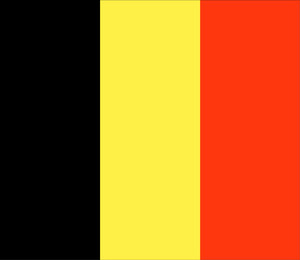 2 ft. X 3 ft. Nyl-Glo Belgium Flag