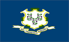Picture of Annin Flagmakers 140750 2 ft. X 3 ft. Nyl-Glo Connecticut Flag