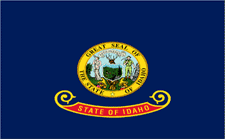 Picture of Annin Flagmakers 141350 2 ft. X 3 ft. Nyl-Glo Idaho Flag