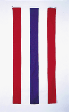 Commercial Decorators Bunting Nyl-Glo-3 ft. X 5 ft.