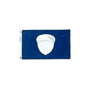 251950WE Nyl-Glo Treasurer Flag-12 in. X 18 in.