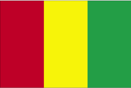 Picture of Annin Flagmakers 193230 2 ft. X 3 ft. Nyl-Glo Guinea Flag