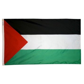 2 ft. X 3 ft. Nyl-Glo Palestine Flag
