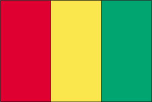 3 ft. x 5 ft. Nyl-Glo Guinea Flag