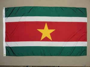 3 ft. x 5 ft. Nyl-Glo Suriname Flag