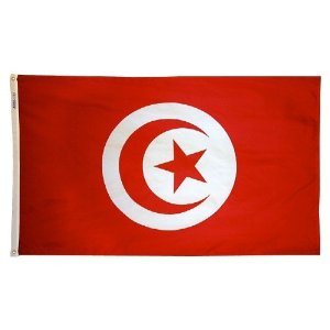 3 ft. x 5 ft. Nyl-Glo Tunisia Flag