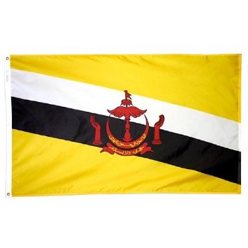 3 ft. x 5 ft. Nyl-Glo Brunei Flag