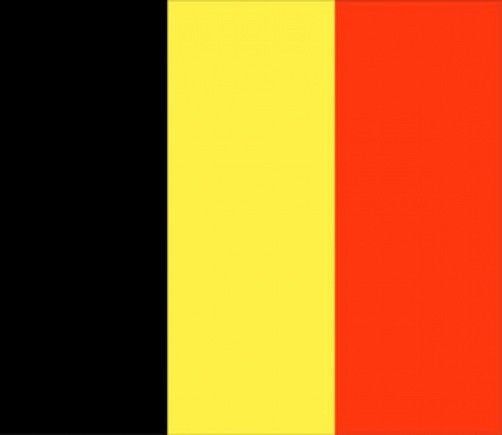 3 ft. x 5 ft. Nyl-Glo Belgium Flag