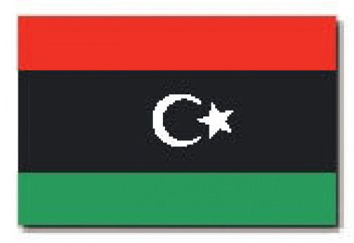 3 ft. x 5 ft. Nyl-Glo Libya Flag