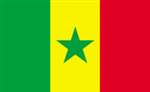 Picture of Annin Flagmakers 197248 2 ft. X 3 ft. Nyl-Glo Senegal Flag