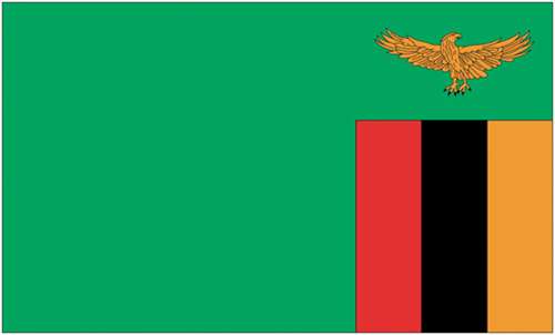 2 ft. X 3 ft. Nyl-Glo Zambia Flag