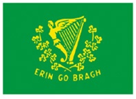 319944 2 ft. X 3 ft. Nyl-Glo Erin Go Bragh Flag