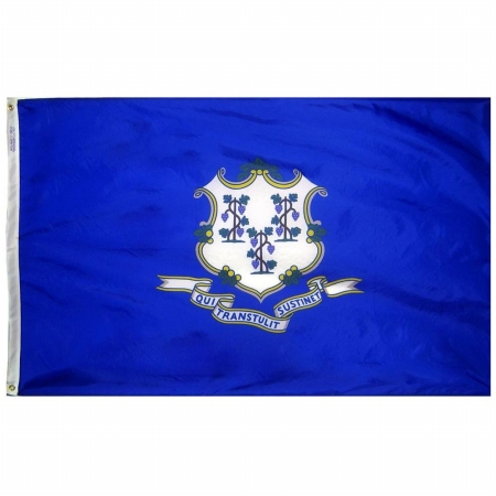 Picture of Annin Flagmakers 140760 3 ft. x 5 ft. Nyl-Glo Connecticut Flag