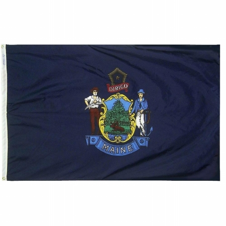 Picture of Annin Flagmakers 142260 3 ft. x 5 ft. Nyl-Glo Maine Flag